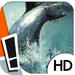 Moby Dick - HD